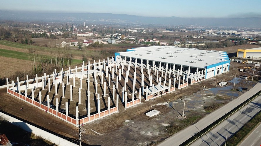 Şerifoğlu